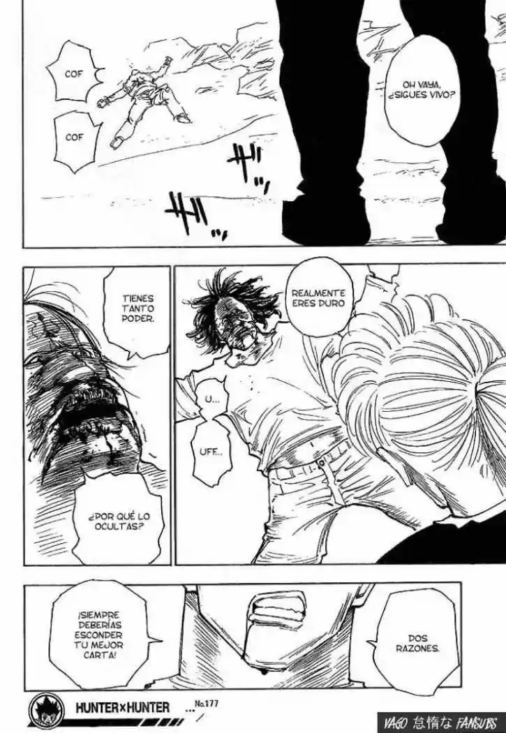 Hunter X Hunter (1998) - Capítulo 177 - Página 14 - LectorTMOo