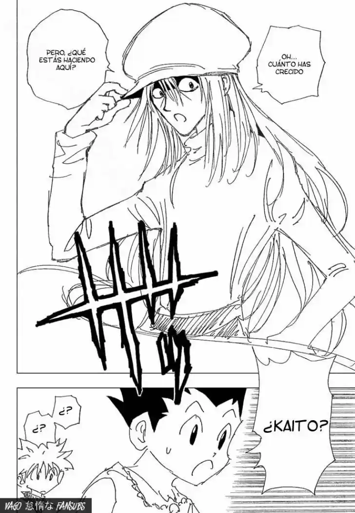 Hunter X Hunter (1998) - Capítulo 185 - Página 11 - LectorTMOo
