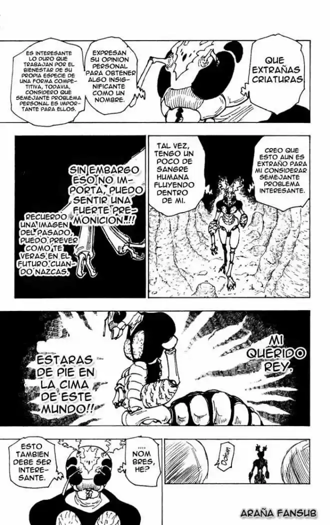 Hunter X Hunter (1998) - Capítulo 188 - Página 11 - LectorTMOo