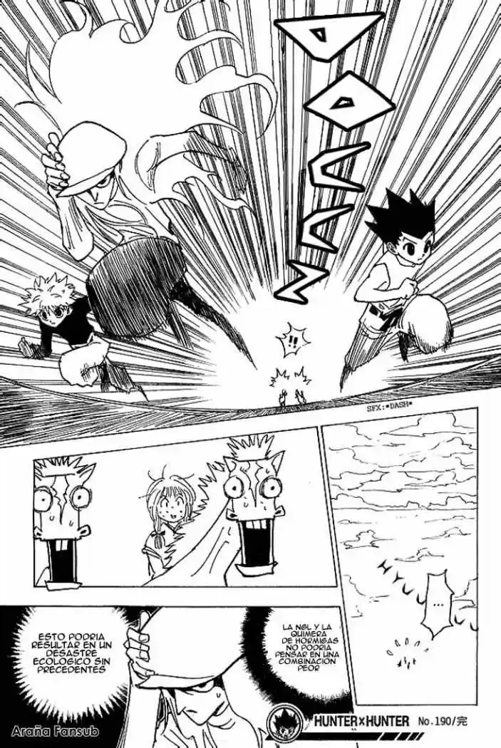 Hunter X Hunter (1998) - Capítulo 190 - Página 15 - LectorTMOo