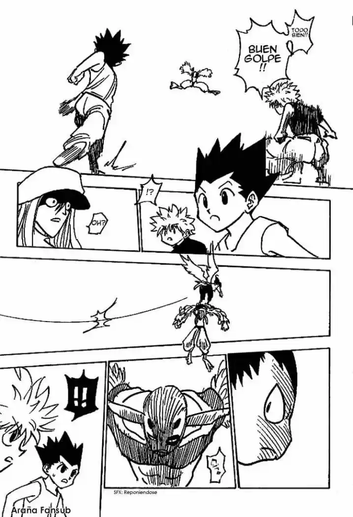 Hunter X Hunter (1998) - Capítulo 191 - Página 13 - LectorTMOo