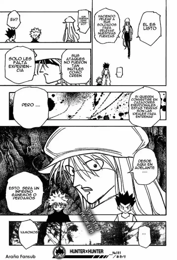 Hunter X Hunter (1998) - Capítulo 191 - Página 15 - LectorTMOo