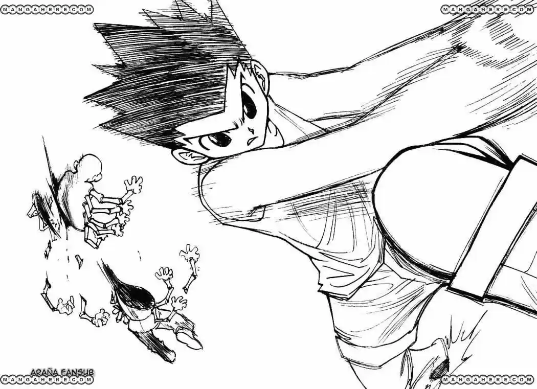 Hunter X Hunter (1998) - Capítulo 193 - Página 12 - LectorTMOo