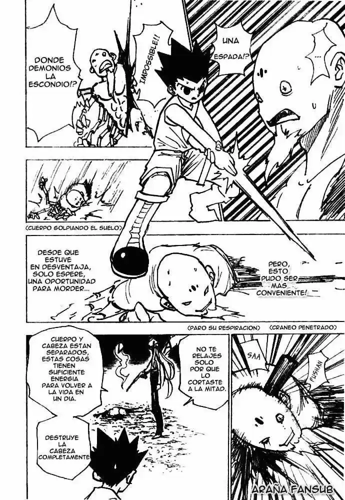 Hunter X Hunter (1998) - Capítulo 193 - Página 13 - LectorTMOo