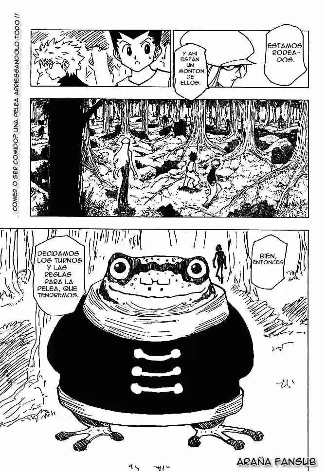 Hunter X Hunter (1998) - Capítulo 194 - Página 14 - LectorTMOo