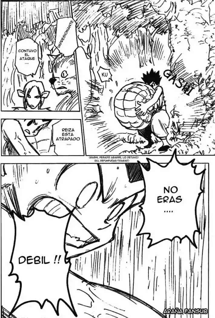 Hunter X Hunter (1998) - Capítulo 195 - Página 12 - LectorTMOo