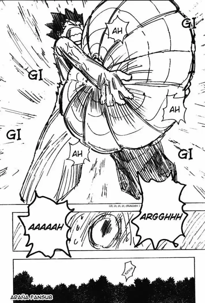 Hunter X Hunter (1998) - Capítulo 195 - Página 13 - LectorTMOo
