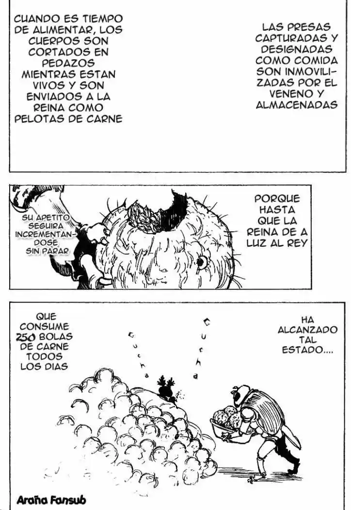 Hunter X Hunter (1998) - Capítulo 197 - Página 12 - LectorTMOo