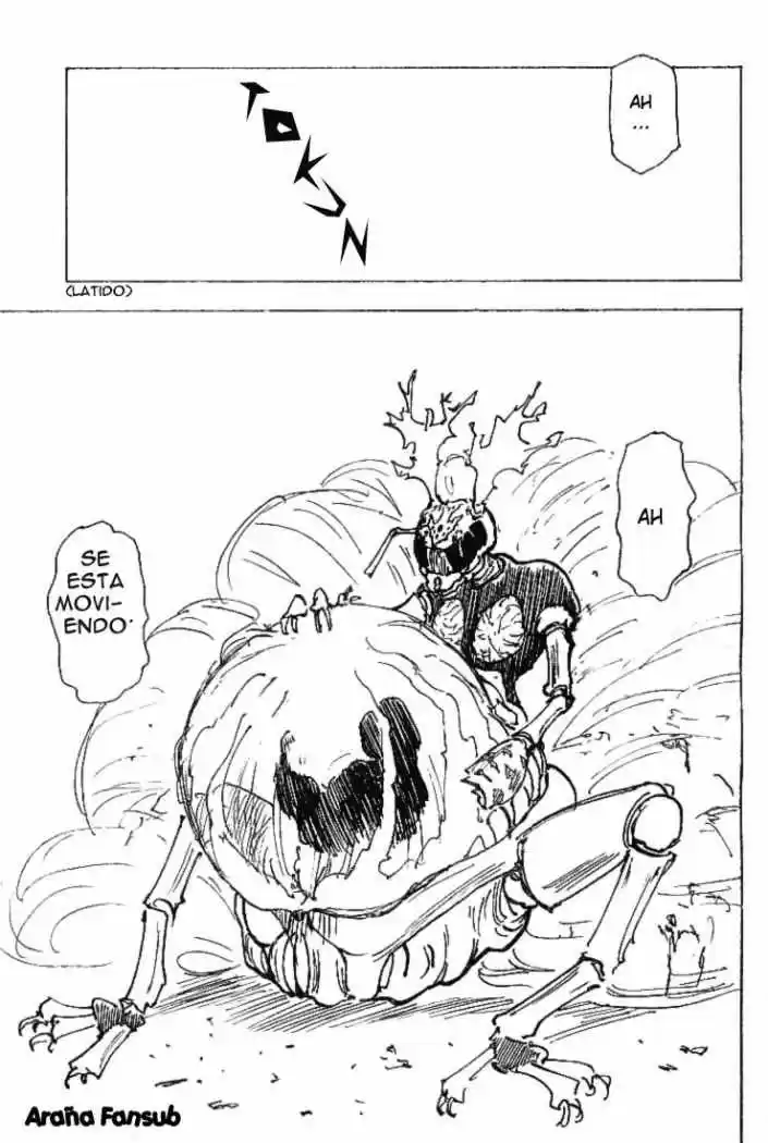 Hunter X Hunter (1998) - Capítulo 197 - Página 13 - LectorTMOo