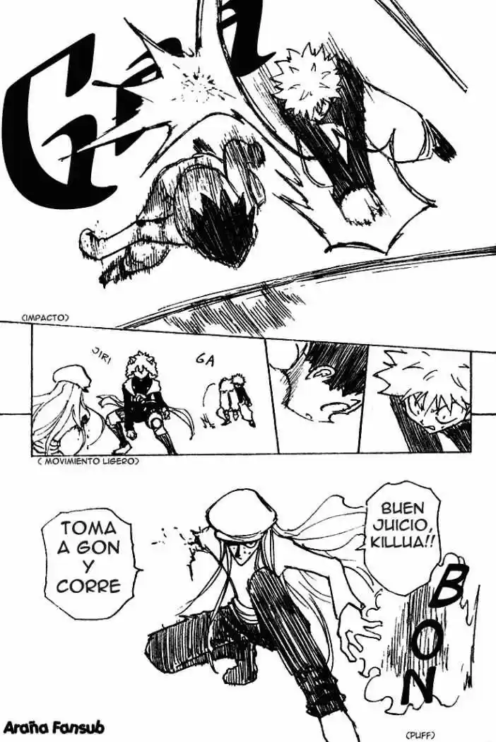 Hunter X Hunter (1998) - Capítulo 198 - Página 13 - LectorTMOo