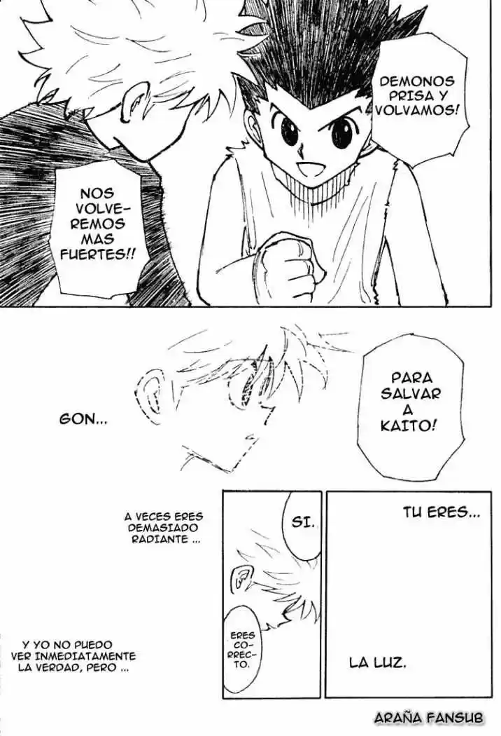 Hunter X Hunter (1998) - Capítulo 199 - Página 13 - LectorTMOo