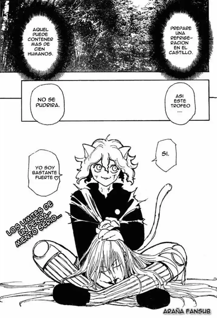 Hunter X Hunter (1998) - Capítulo 199 - Página 15 - LectorTMOo