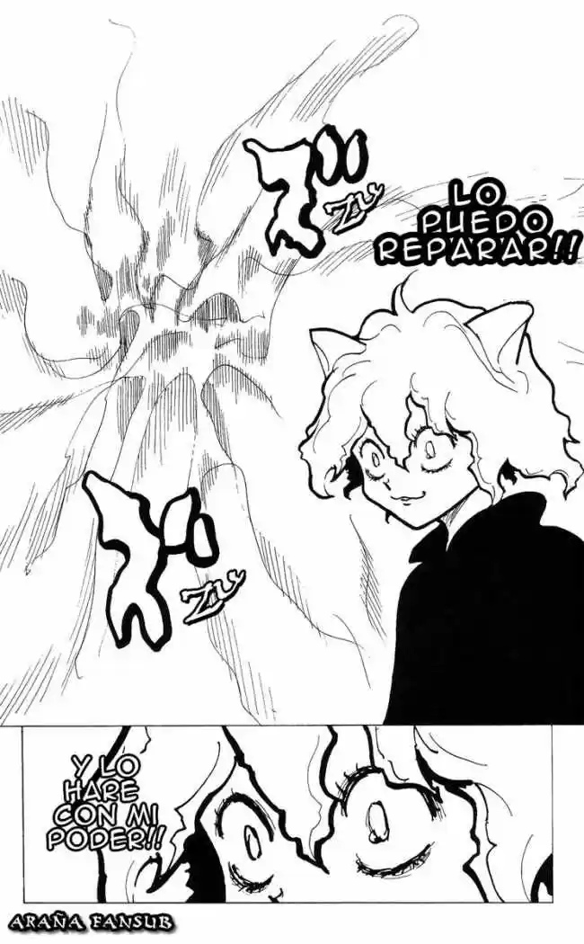 Hunter X Hunter (1998) - Capítulo 200 - Página 11 - LectorTMOo