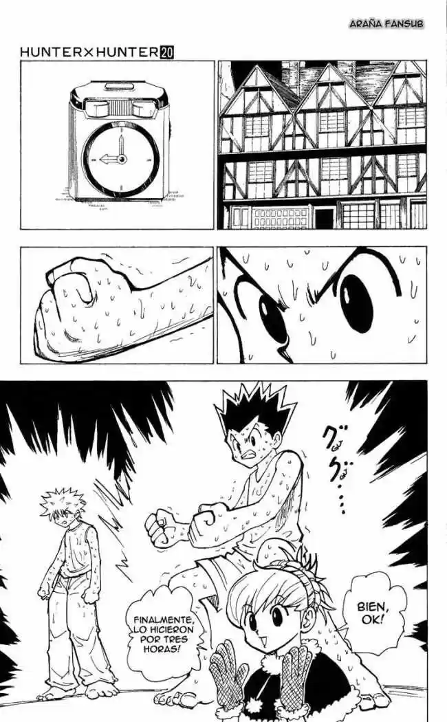 Hunter X Hunter (1998) - Capítulo 202 - Página 11 - LectorTMOo