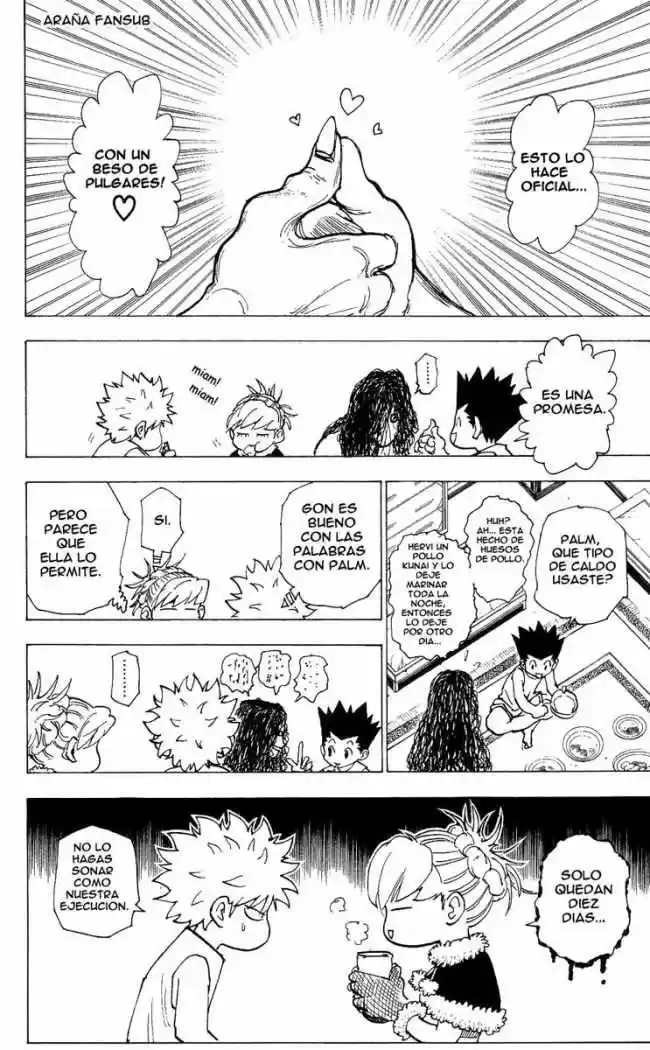 Hunter X Hunter (1998) - Capítulo 205 - Página 10 - LectorTMOo