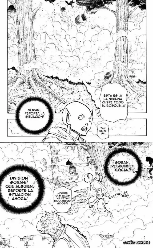 Hunter X Hunter (1998) - Capítulo 205 - Página 11 - LectorTMOo