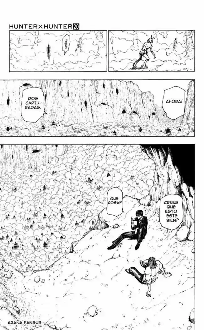 Hunter X Hunter (1998) - Capítulo 205 - Página 13 - LectorTMOo