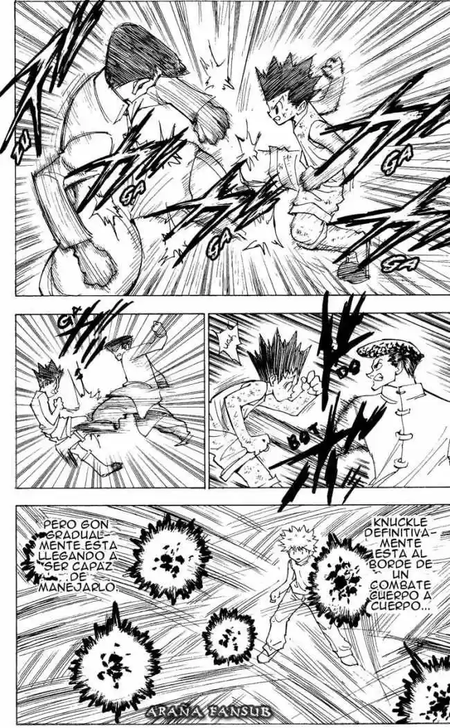 Hunter X Hunter (1998) - Capítulo 208 - Página 10 - LectorTMOo