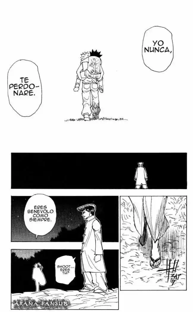 Hunter X Hunter (1998) - Capítulo 209 - Página 11 - LectorTMOo