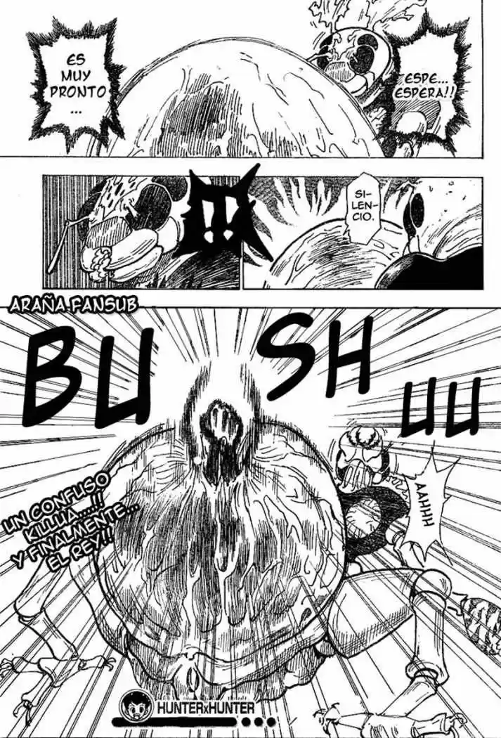 Hunter X Hunter (1998) - Capítulo 212 - Página 15 - LectorTMOo