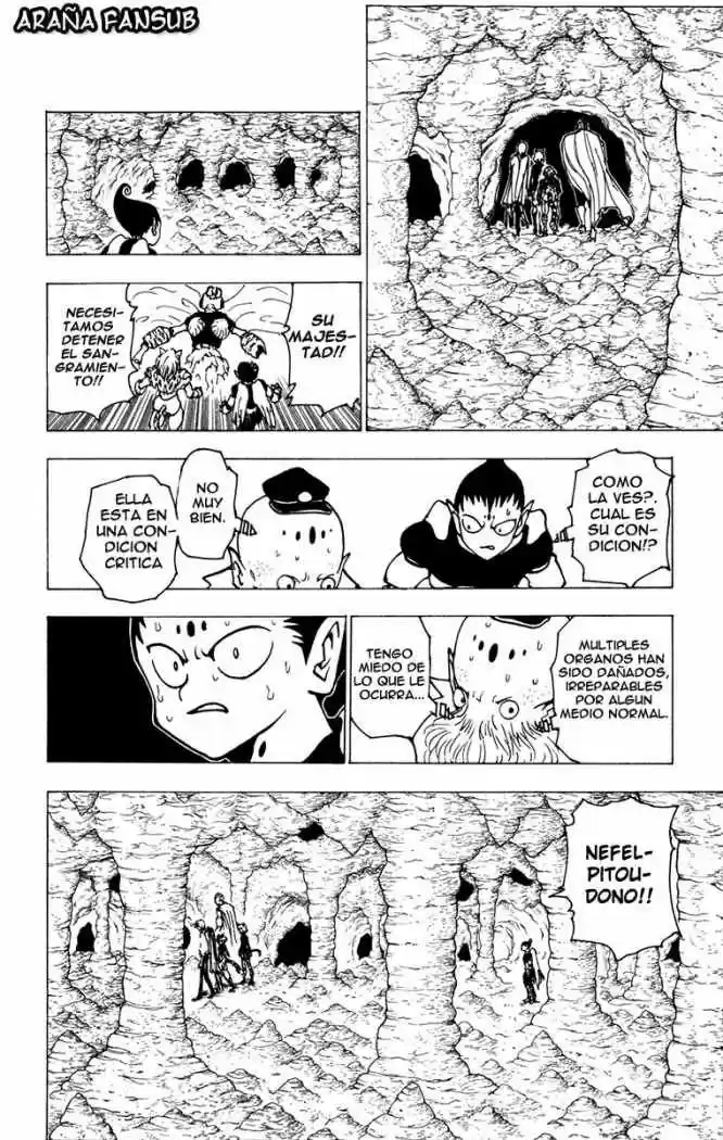 Hunter X Hunter (1998) - Capítulo 213 - Página 8 - LectorTMOo