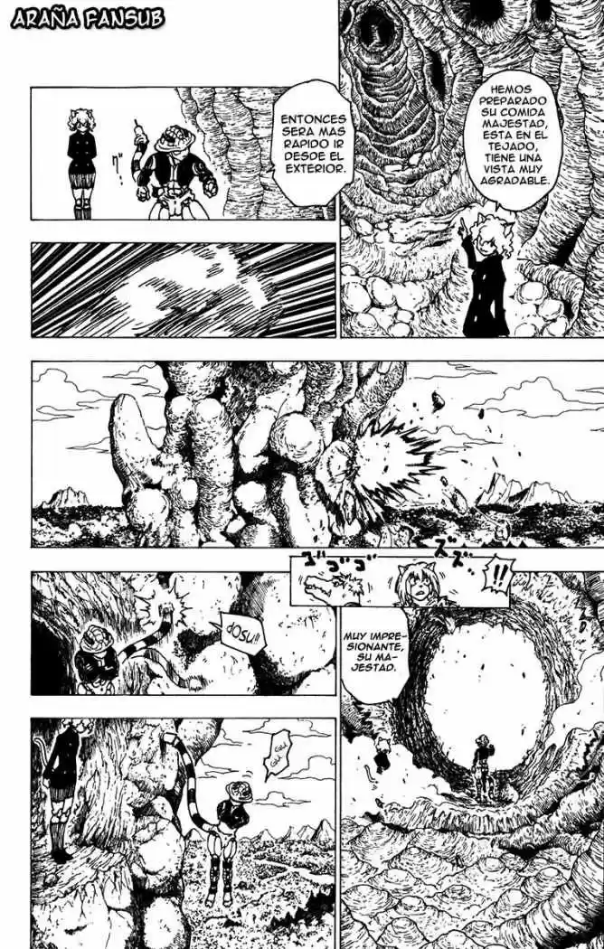 Hunter X Hunter (1998) - Capítulo 213 - Página 10 - LectorTMOo