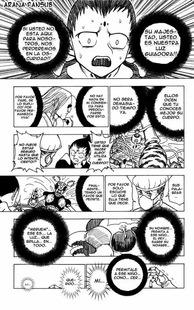 Hunter X Hunter (1998) - Capítulo 215 - Página 9 - LectorTMOo