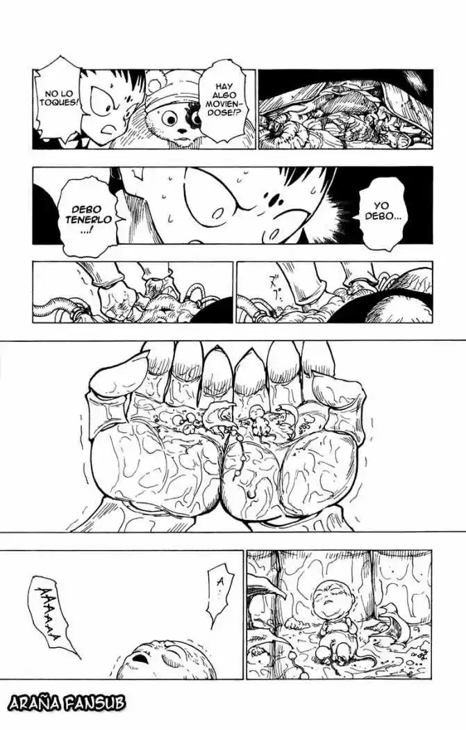 Hunter X Hunter (1998) - Capítulo 215 - Página 11 - LectorTMOo