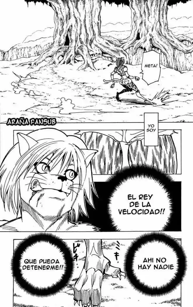 Hunter X Hunter (1998) - Capítulo 216 - Página 7 - LectorTMOo