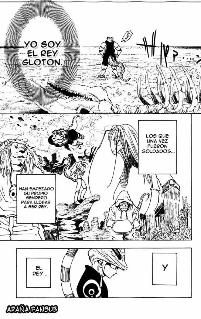 Hunter X Hunter (1998) - Capítulo 216 - Página 9 - LectorTMOo