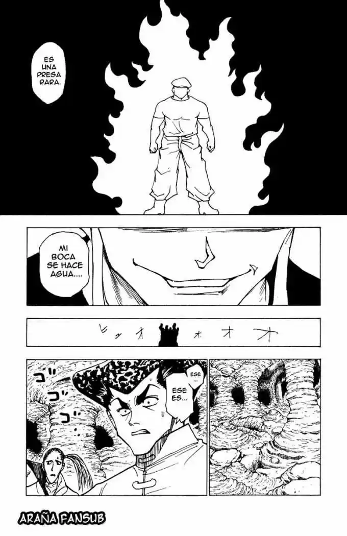 Hunter X Hunter (1998) - Capítulo 216 - Página 15 - LectorTMOo