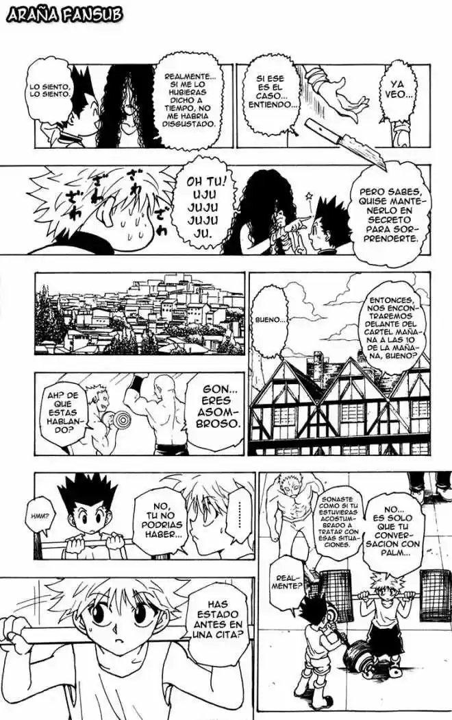Hunter X Hunter (1998) - Capítulo 217 - Página 11 - LectorTMOo