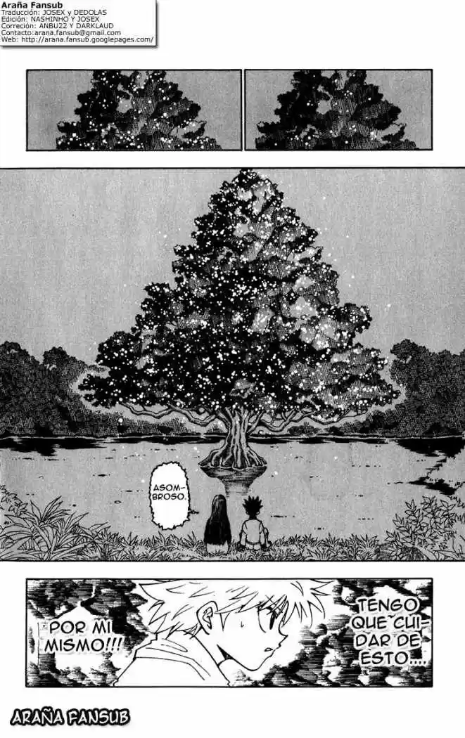 Hunter X Hunter (1998) - Capítulo 218 - Página 12 - LectorTMOo