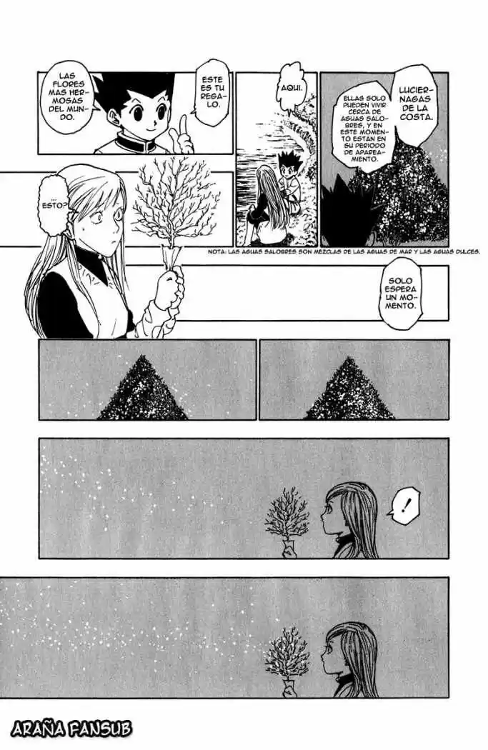 Hunter X Hunter (1998) - Capítulo 218 - Página 13 - LectorTMOo