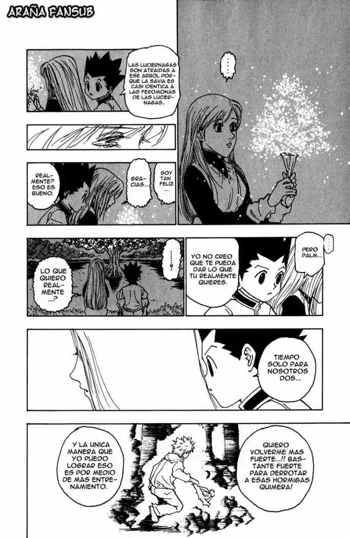 Hunter X Hunter (1998) - Capítulo 218 - Página 14 - LectorTMOo
