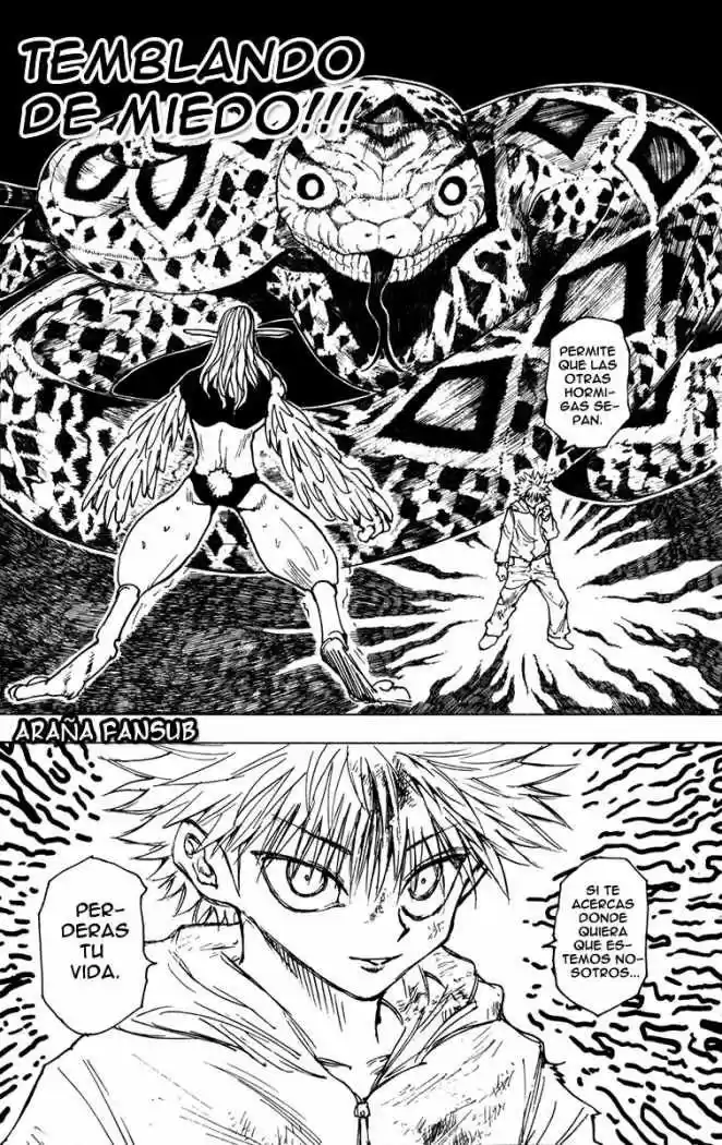 Hunter X Hunter (1998) - Capítulo 219 - Página 13 - LectorTMOo