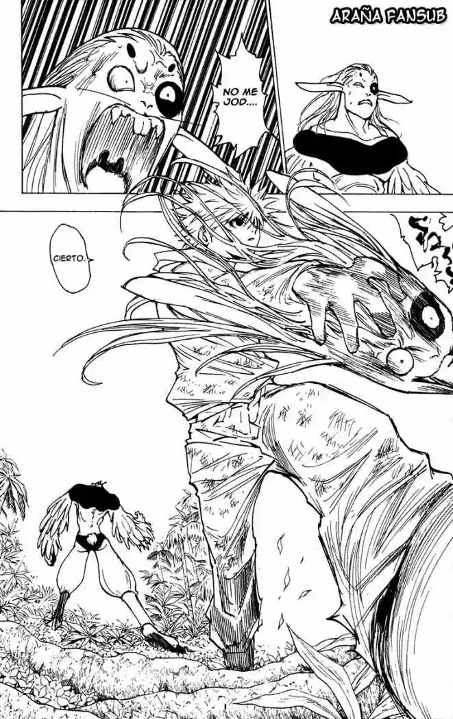 Hunter X Hunter (1998) - Capítulo 219 - Página 14 - LectorTMOo