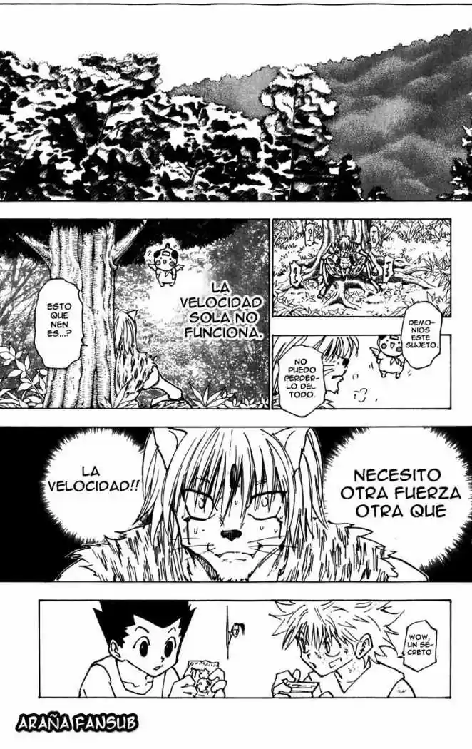 Hunter X Hunter (1998) - Capítulo 221 - Página 15 - LectorTMOo