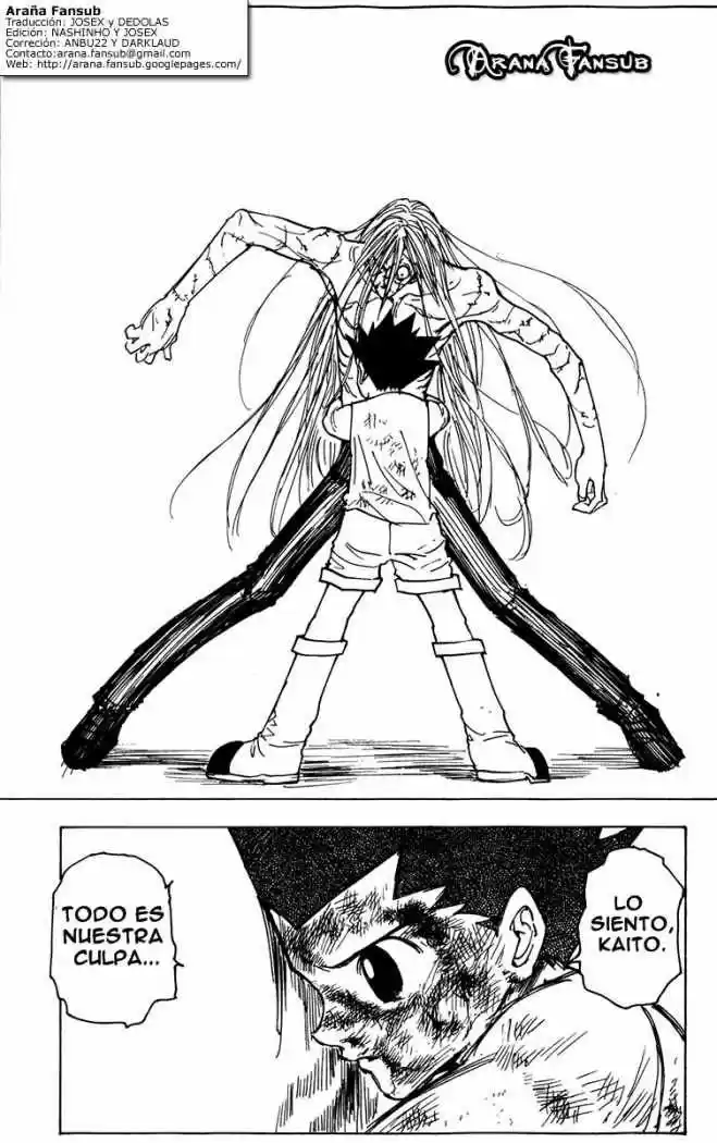 Hunter X Hunter (1998) - Capítulo 222 - Página 11 - LectorTMOo