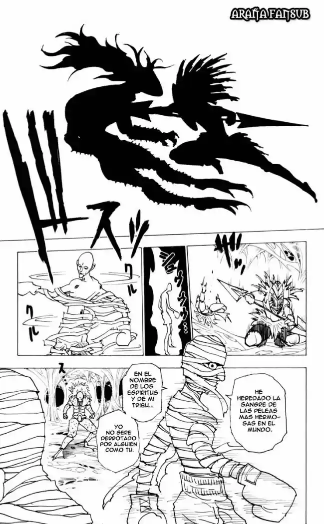Hunter X Hunter (1998) - Capítulo 225 - Página 9 - LectorTMOo