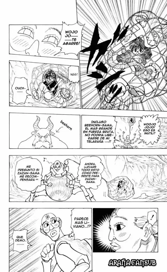 Hunter X Hunter (1998) - Capítulo 227 - Página 12 - LectorTMOo