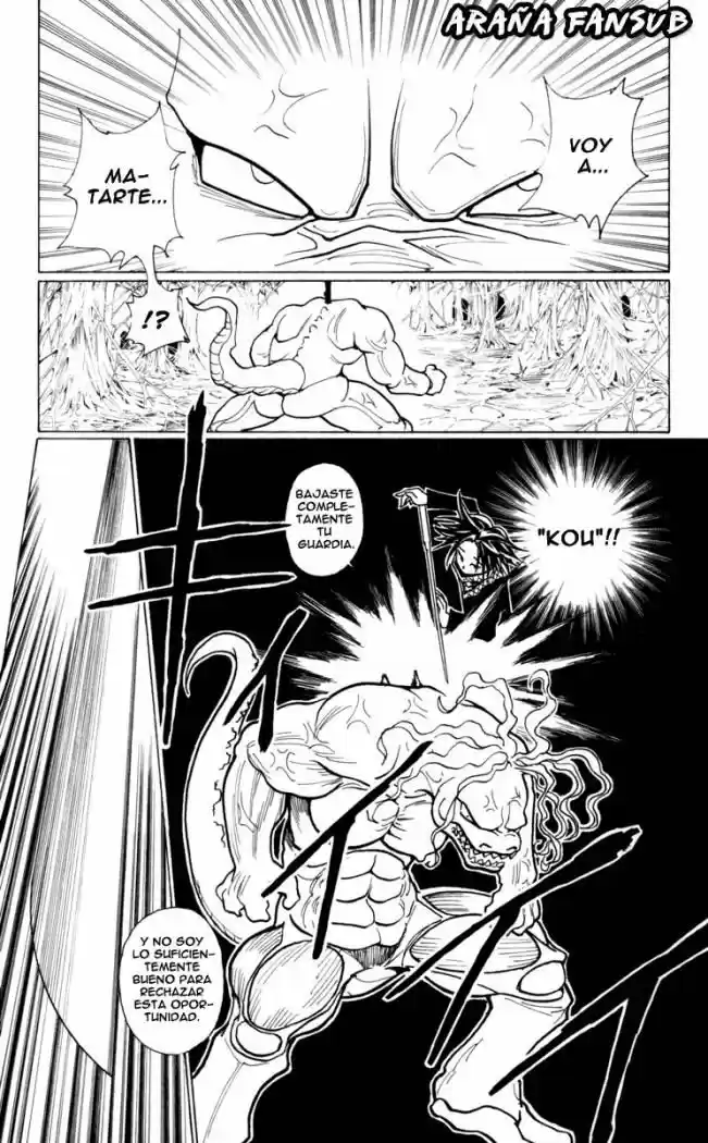 Hunter X Hunter (1998) - Capítulo 228 - Página 13 - LectorTMOo