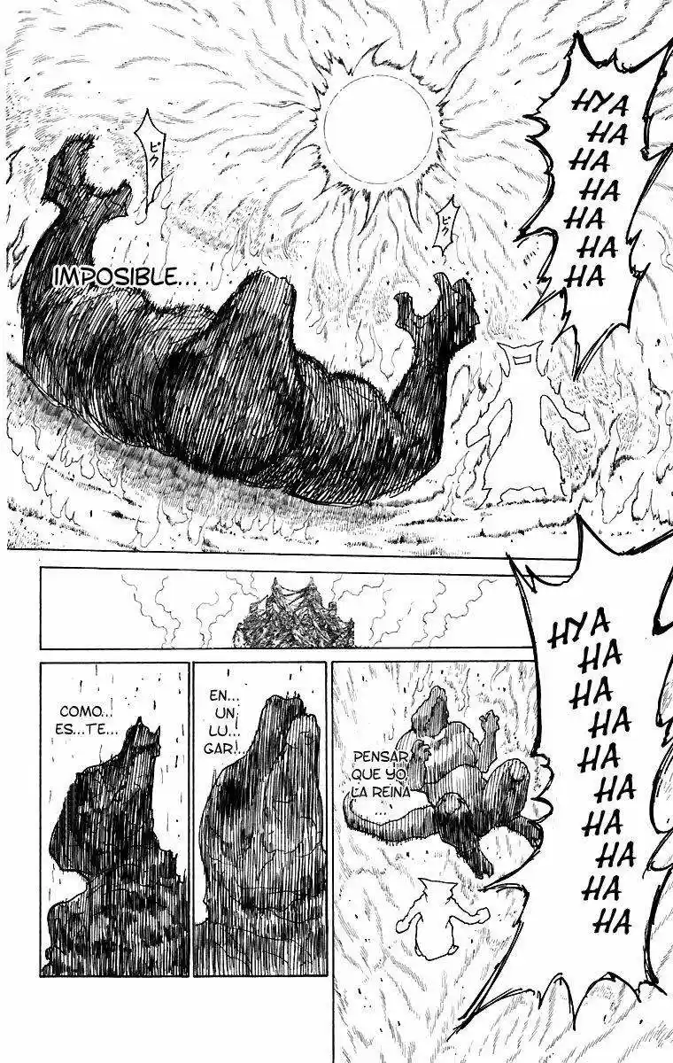 Hunter X Hunter (1998) - Capítulo 229 - Página 10 - LectorTMOo