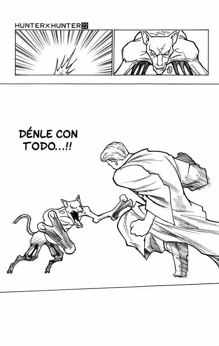 Hunter X Hunter (1998) - Capítulo 229 - Página 15 - LectorTMOo
