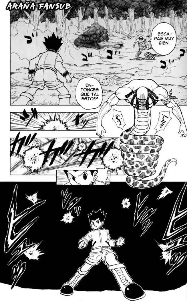 Hunter X Hunter (1998) - Capítulo 231 - Página 10 - LectorTMOo