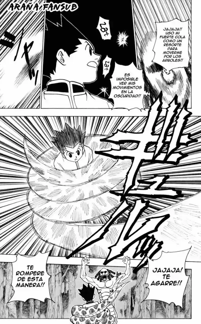 Hunter X Hunter (1998) - Capítulo 231 - Página 11 - LectorTMOo