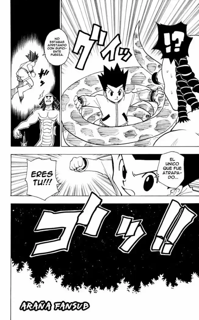 Hunter X Hunter (1998) - Capítulo 231 - Página 12 - LectorTMOo
