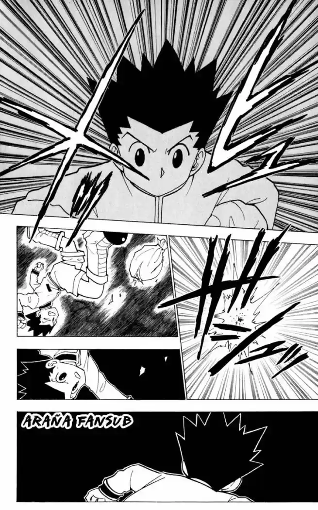 Hunter X Hunter (1998) - Capítulo 231 - Página 14 - LectorTMOo