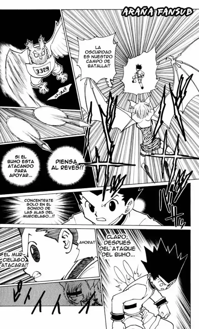 Hunter X Hunter (1998) - Capítulo 232 - Página 5 - LectorTMOo