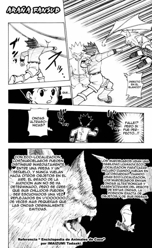 Hunter X Hunter (1998) - Capítulo 232 - Página 6 - LectorTMOo